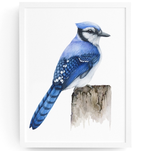 Other - Blue Jay Bird Wall Art Watercolor Illustration Print Poster Card Unframed